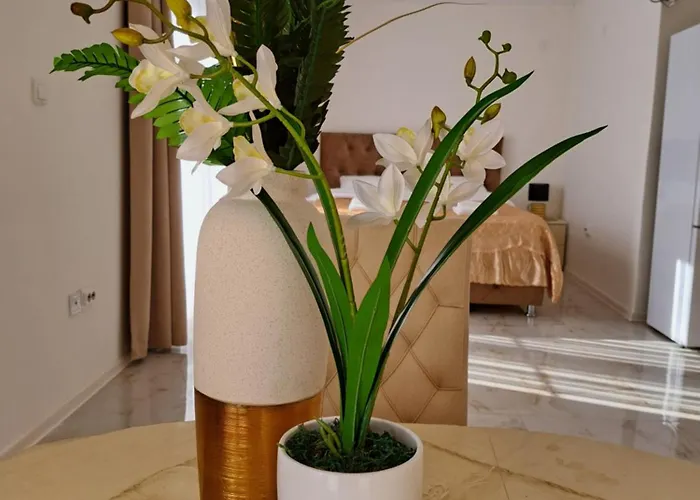 Διαμέρισμα Dina Lux